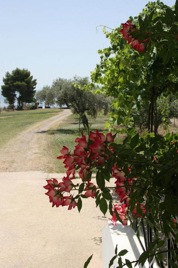 אמרינתוס Villa Vlichos מראה חיצוני תמונה
