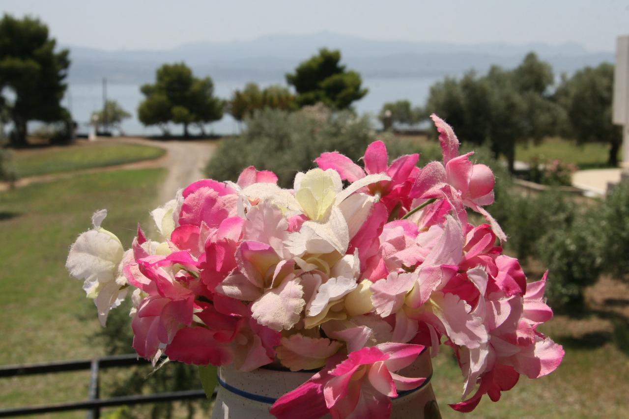 אמרינתוס Villa Vlichos מראה חיצוני תמונה